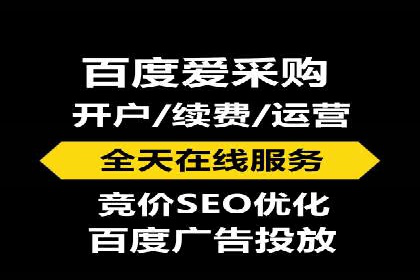 某企业通过百度SEM实现ROI最大化的案例